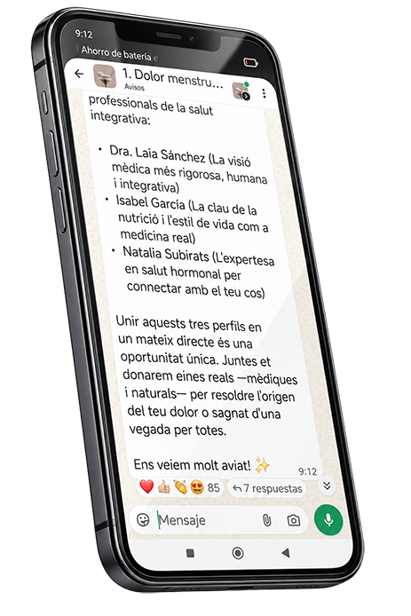 Missatge de benvinguda al grup de Telegram del curs