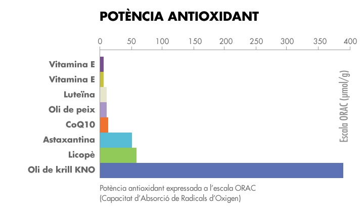 antioxidant_cat