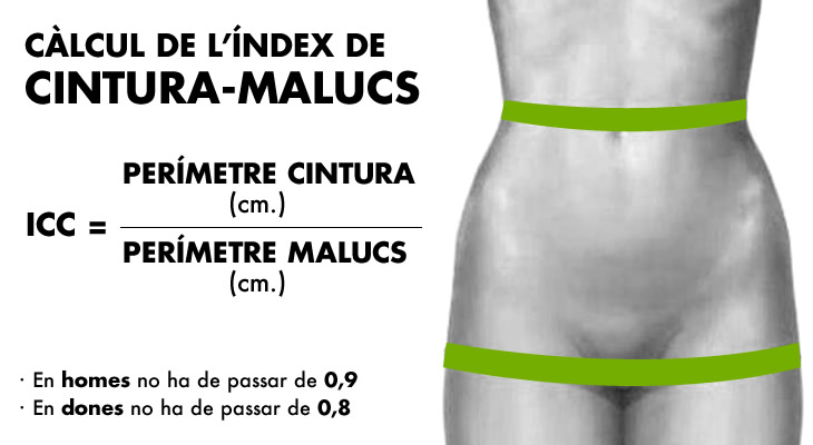index_cintura-malucs_cat