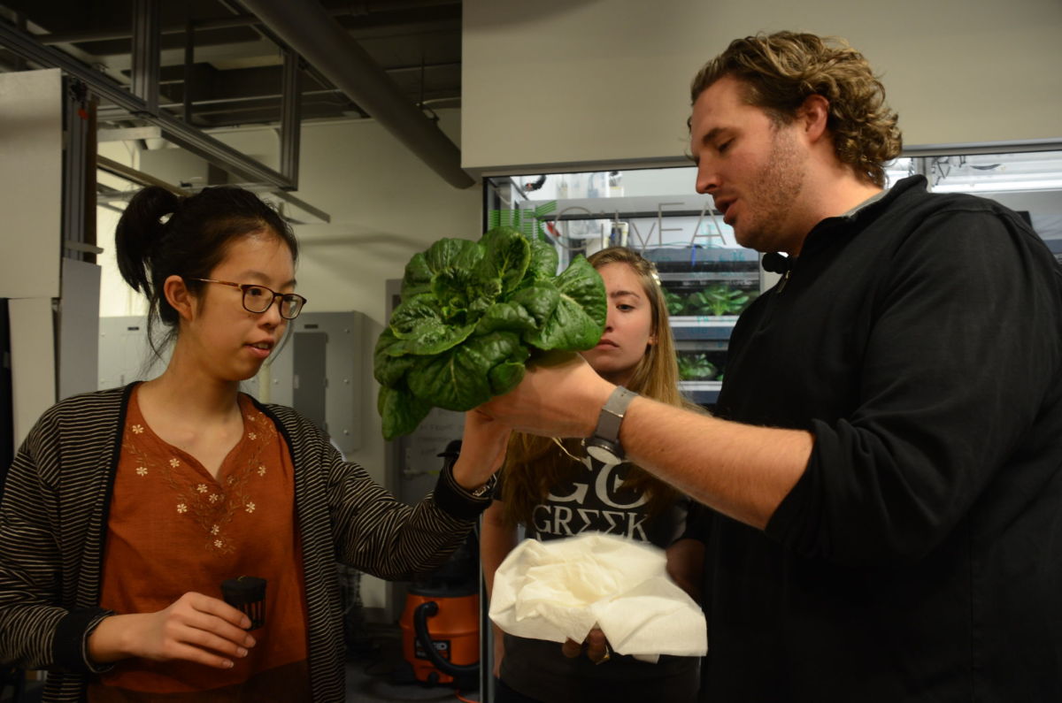 Caleb Harper mostra una hortalissa cultivada al CityFARM del MIT a unes alumnes – @MITCityFARM 