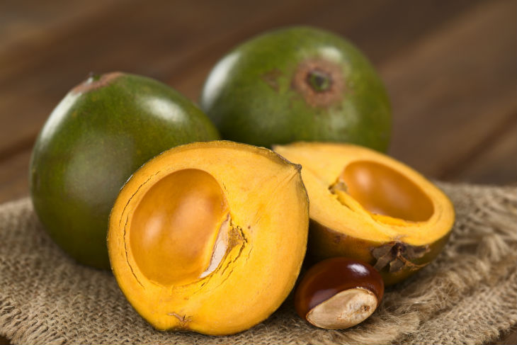 lucuma1-730