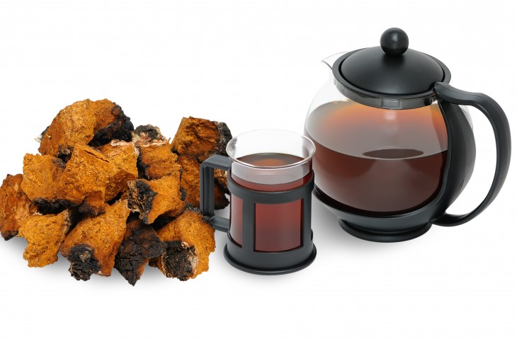 Chaga mushroom. A medicinal drink and chopped into pieces Chaga