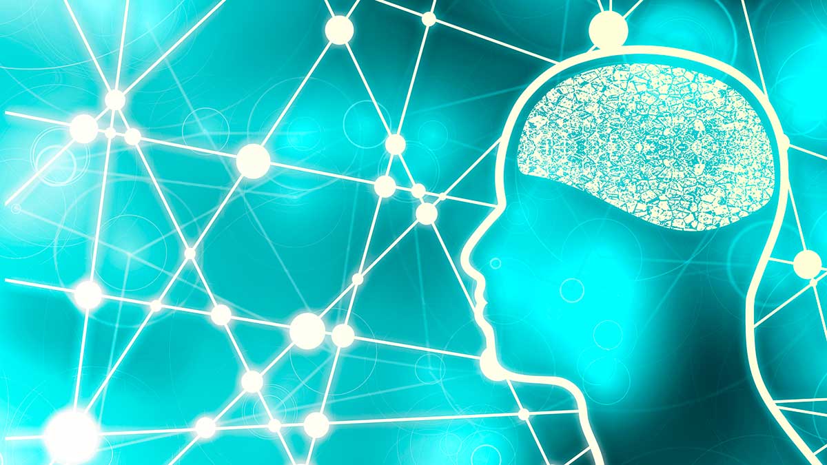 Què és la psiconeuroimmunologia