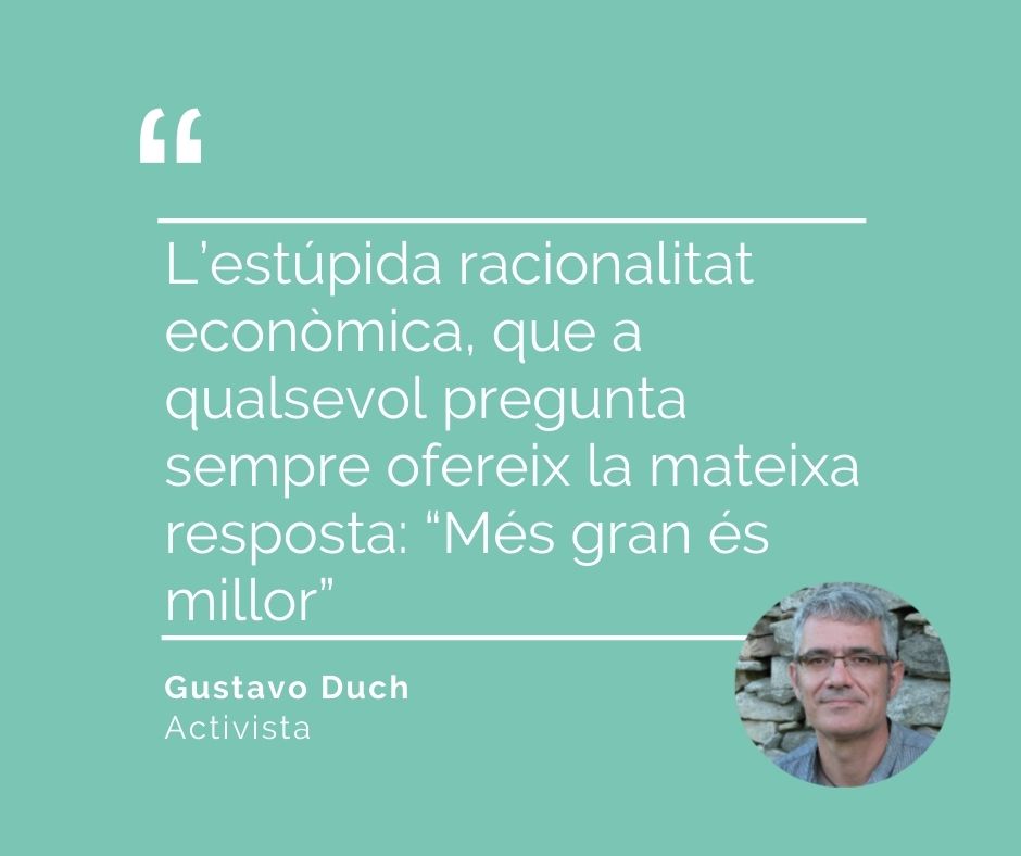 Ciutat vacuna porcs