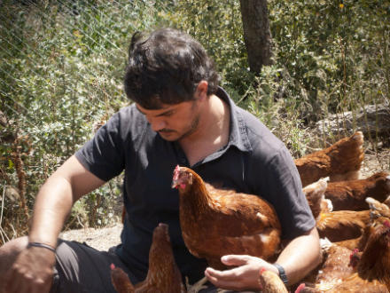 foto Eco’s: gallines que campen - 1