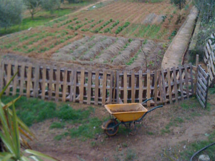 foto Ecocalçots: agroecològics per convicció - 4