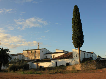 foto Finca Parera: Vinyerons amb tota l'energia de la terra  - 2