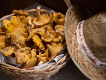Torna “Benvinguts a Pagès”, presencial i amb reserva
