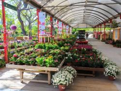 Garden Center Bordas, el paradís de l’horticultura i la jardineria ecològica