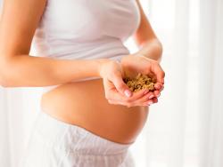 Es relaciona la dieta durant l’embaràs amb el risc de patir TDAH en nens