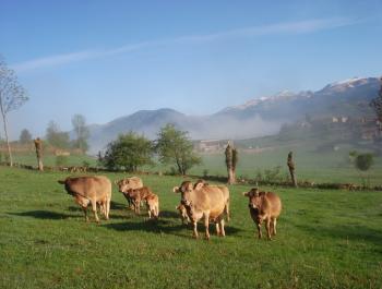 La Cerdanya té unes condicions òptimes per a la producció ecològica