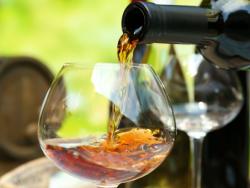 Degusta més de cent vins naturals al saló Vins Nus de Barcelona
